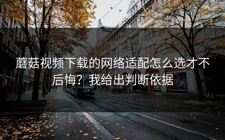 蘑菇视频下载的网络适配怎么选才不后悔？我给出判断依据