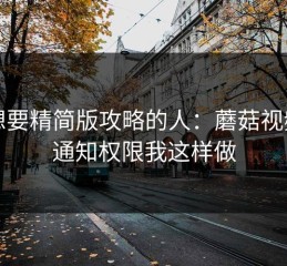给想要精简版攻略的人：蘑菇视频的通知权限我这样做