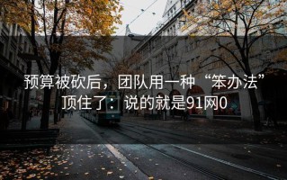 预算被砍后，团队用一种“笨办法”顶住了：说的就是91网0