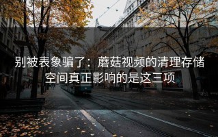 别被表象骗了：蘑菇视频的清理存储空间真正影响的是这三项