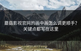 蘑菇影视官网的画中画怎么调更顺手？关键点都写在这里