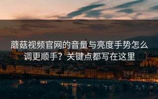 蘑菇视频官网的音量与亮度手势怎么调更顺手？关键点都写在这里