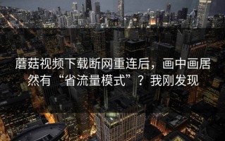 蘑菇视频下载断网重连后，画中画居然有“省流量模式”？我刚发现