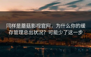 同样是蘑菇影视官网，为什么你的缓存管理总出状况？可能少了这一步