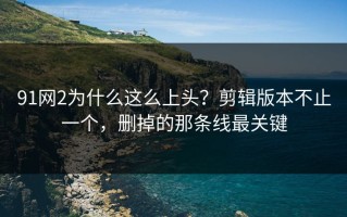 91网2为什么这么上头？剪辑版本不止一个，删掉的那条线最关键