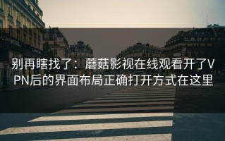 别再瞎找了：蘑菇影视在线观看开了VPN后的界面布局正确打开方式在这里