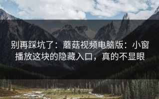 别再踩坑了：蘑菇视频电脑版：小窗播放这块的隐藏入口，真的不显眼