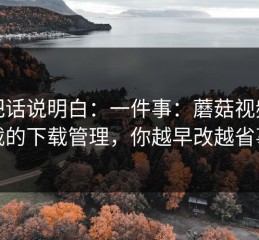 我把话说明白：一件事：蘑菇视频下载的下载管理，你越早改越省事