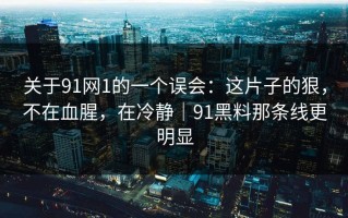 关于91网1的一个误会：这片子的狠，不在血腥，在冷静｜91黑料那条线更明显