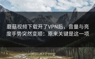 蘑菇视频下载开了VPN后，音量与亮度手势突然变顺：原来关键是这一项