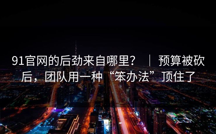 91官网的后劲来自哪里？ ｜ 预算被砍后，团队用一种“笨办法”顶住了-第1张图片-蘑菇视频app下载 - 安卓苹果双端支持