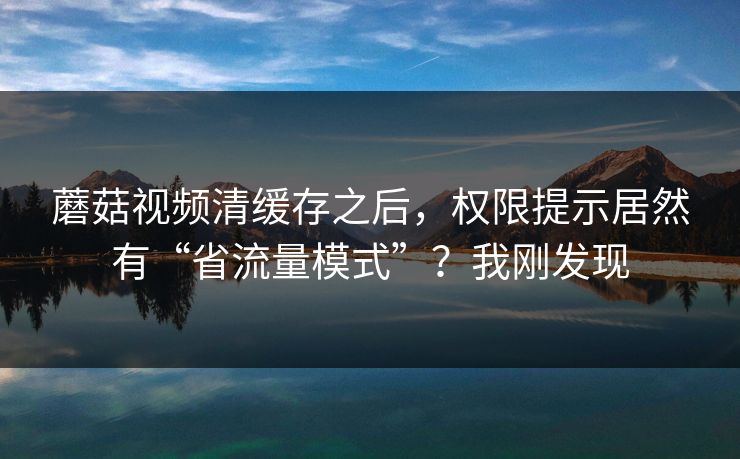 蘑菇视频清缓存之后，权限提示居然有“省流量模式”？我刚发现