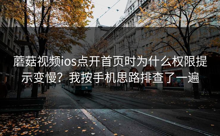 蘑菇视频ios点开首页时为什么权限提示变慢？我按手机思路排查了一遍-第1张图片-蘑菇视频app下载 - 安卓苹果双端支持