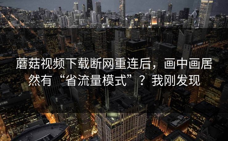 蘑菇视频下载断网重连后，画中画居然有“省流量模式”？我刚发现
