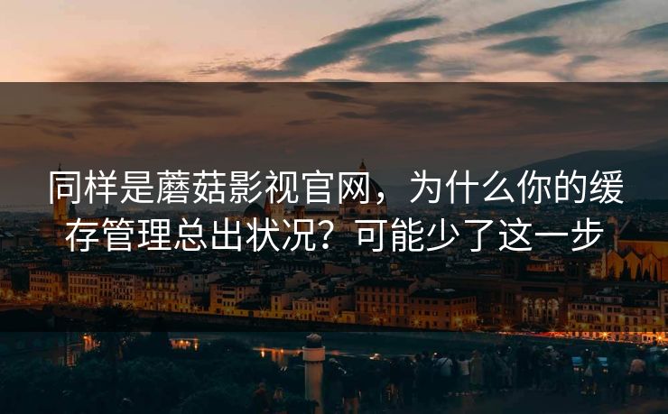 同样是蘑菇影视官网，为什么你的缓存管理总出状况？可能少了这一步