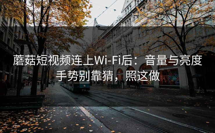 蘑菇短视频连上Wi‑Fi后：音量与亮度手势别靠猜，照这做-第1张图片-蘑菇视频app下载 - 安卓苹果双端支持