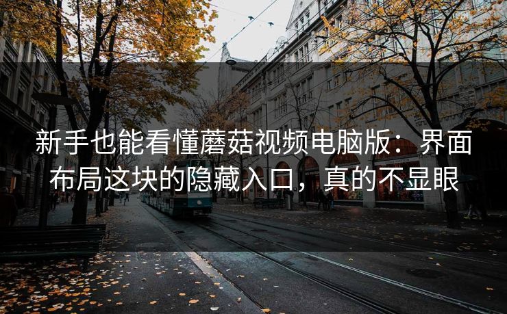 新手也能看懂蘑菇视频电脑版：界面布局这块的隐藏入口，真的不显眼